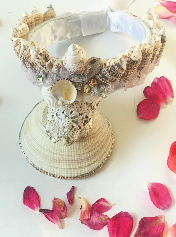 Cowrie shell crowns